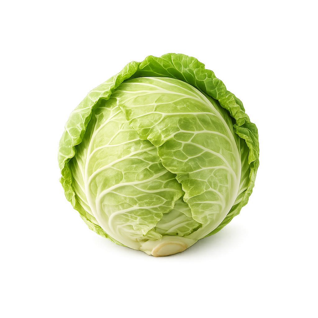 Cabbage